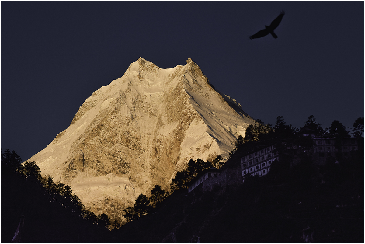 Manaslu