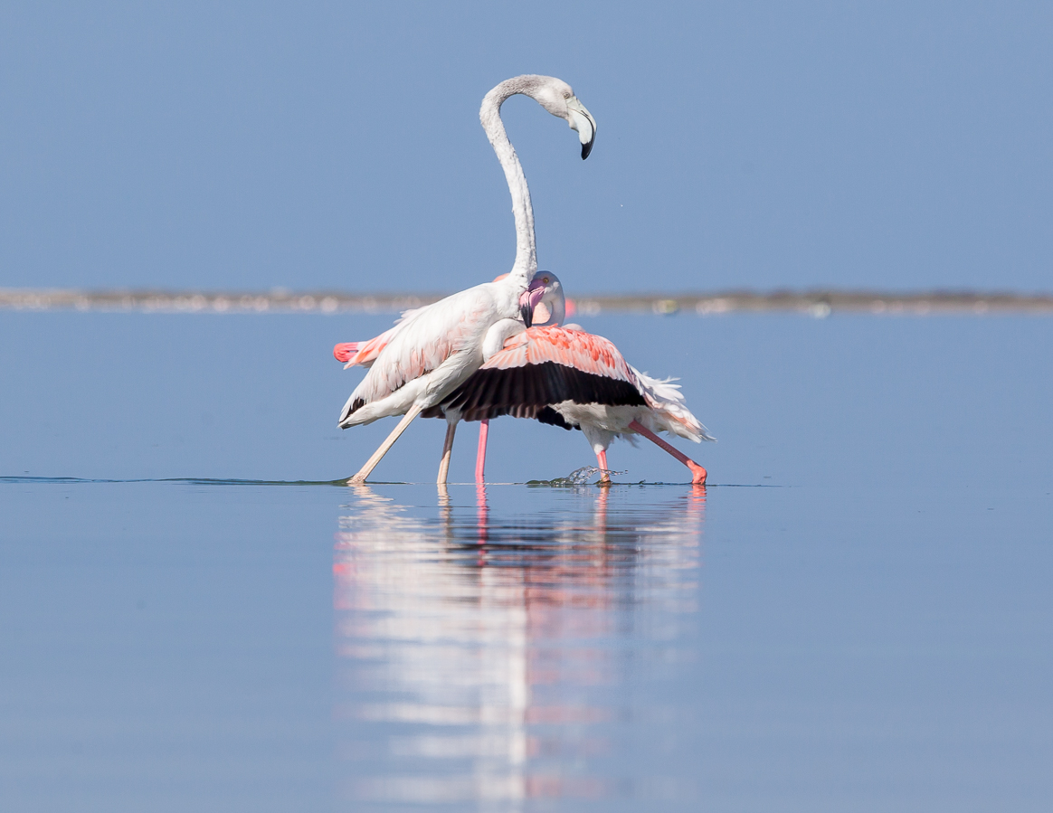 Two to One...  a neb holky neumačkejte si mě