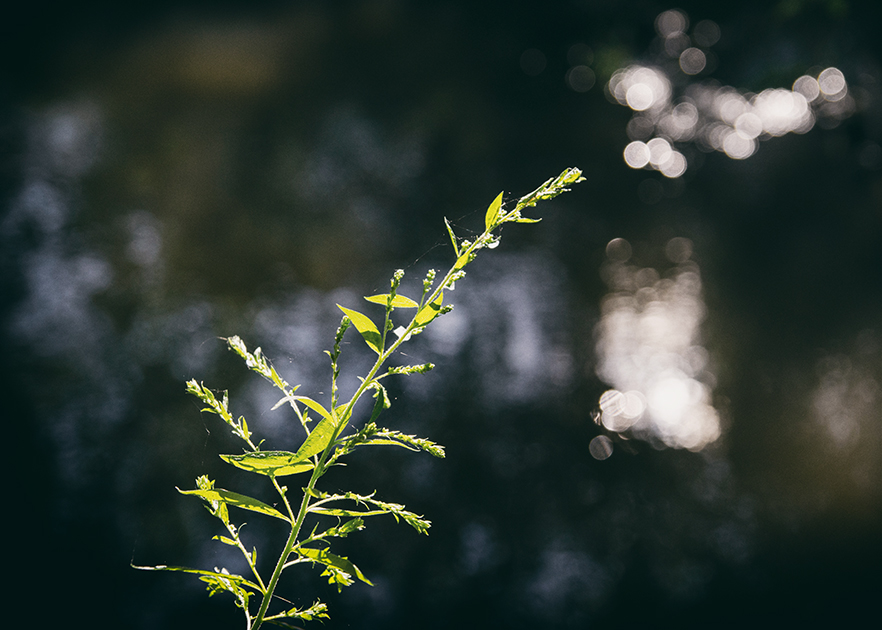 srpen je krásný ...