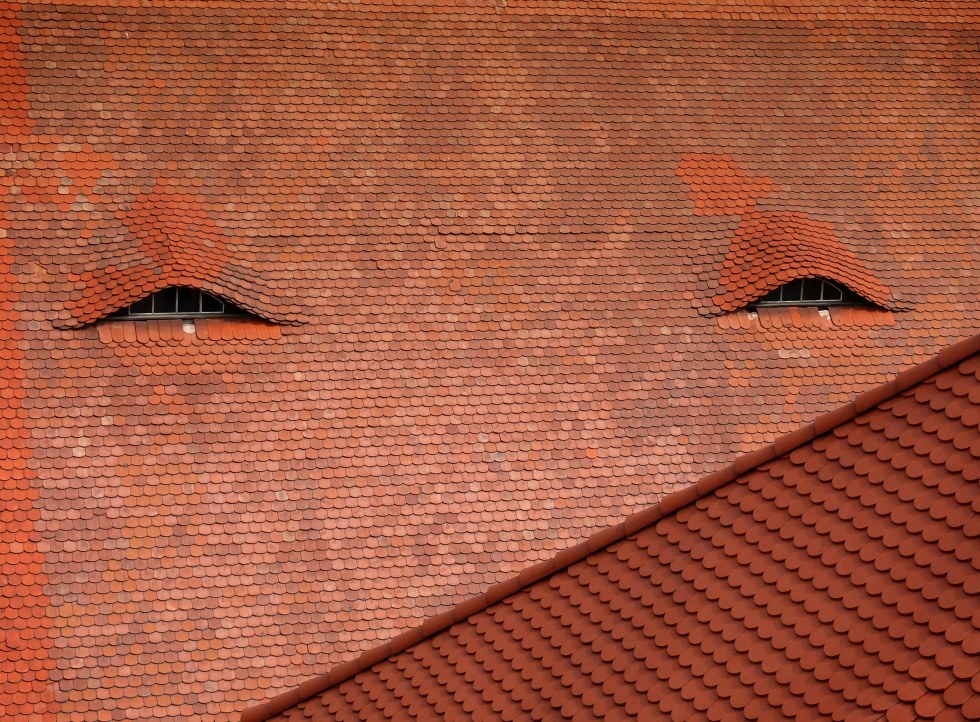 Oči