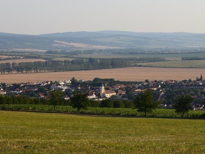 vesnička