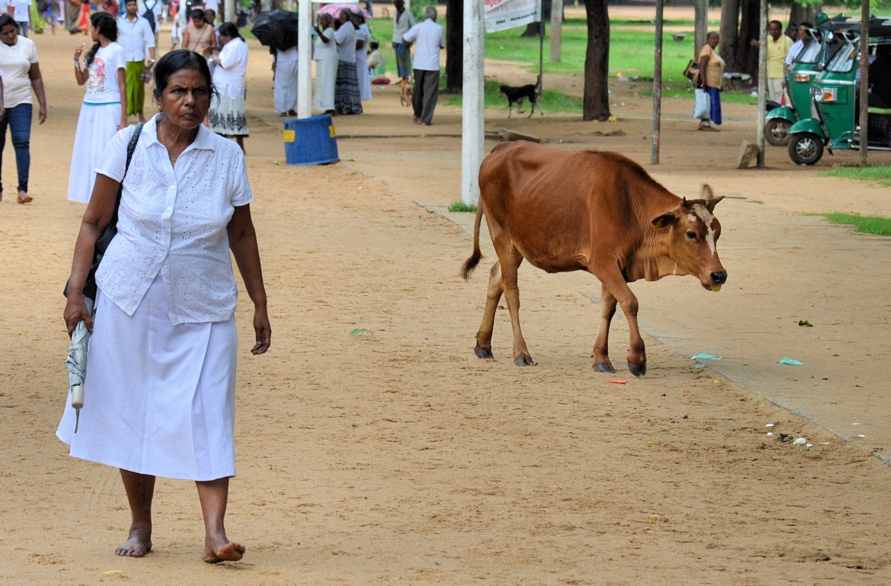 A nechoď pořád za mnou!