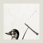 Ne-legální stávka