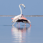 Two to One...  a neb holky neumačkejte si mě