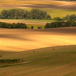 Krivky krásnej Moravy