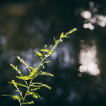 srpen je krásný ...