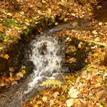 Podzimní vzpomínka