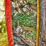HDR
