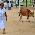 A nechoď pořád za mnou!