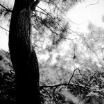 Středomoří č.7720