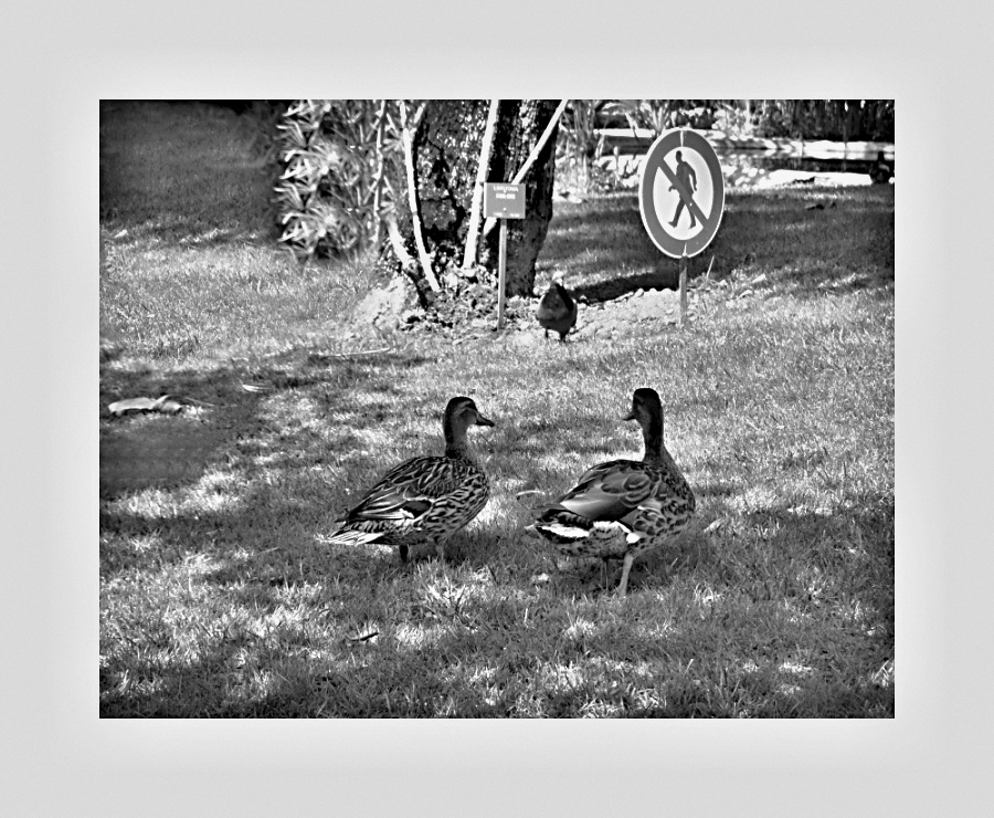 ľuďom vstup zákazaný, my môžeme