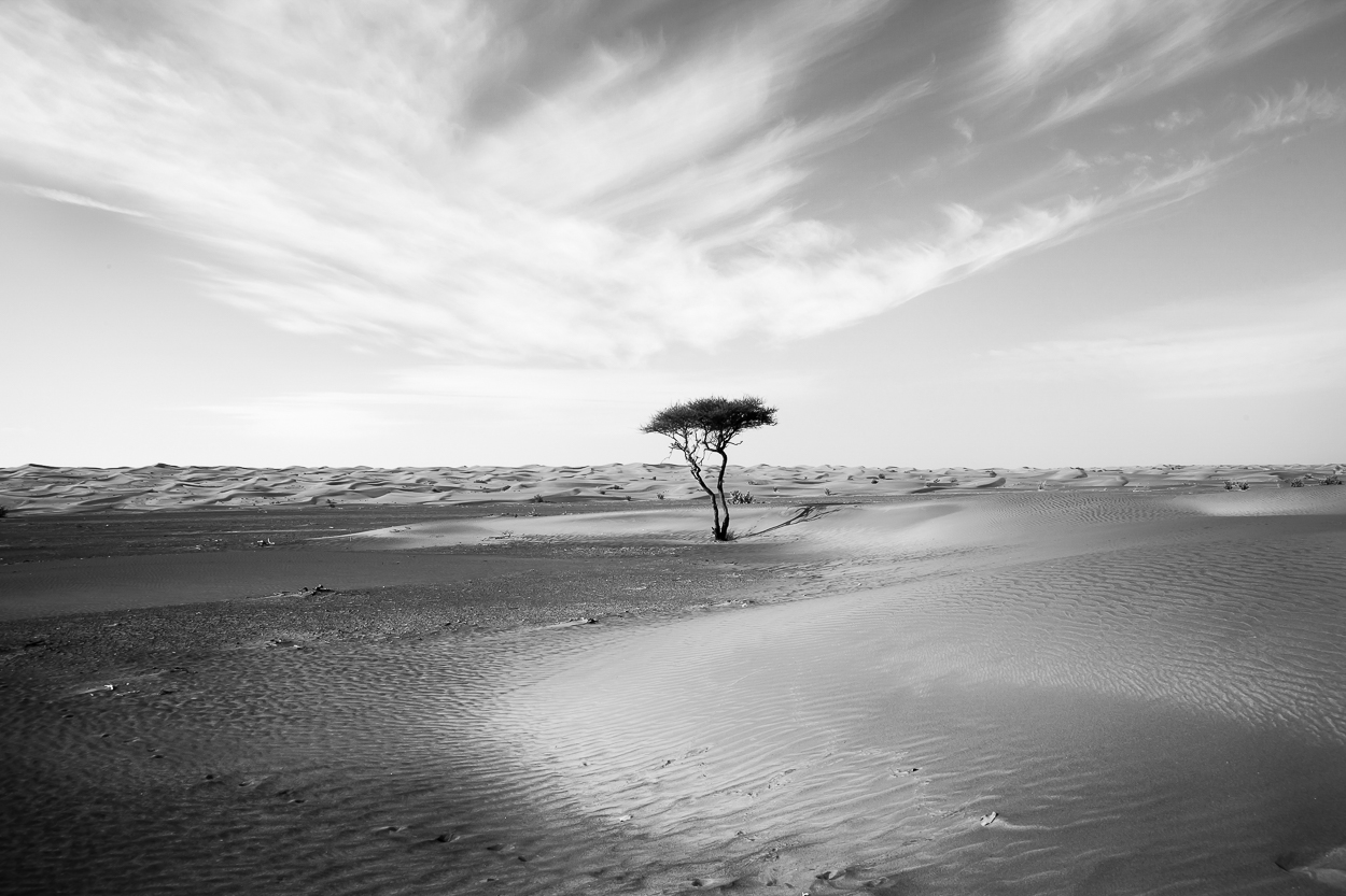 díváš se, ...dívám a jedou, ...nejedou