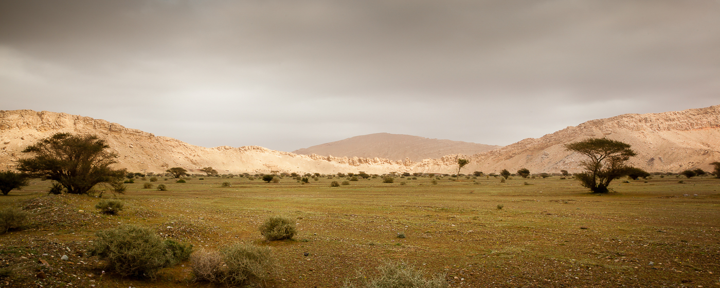 chaloupka pod horami