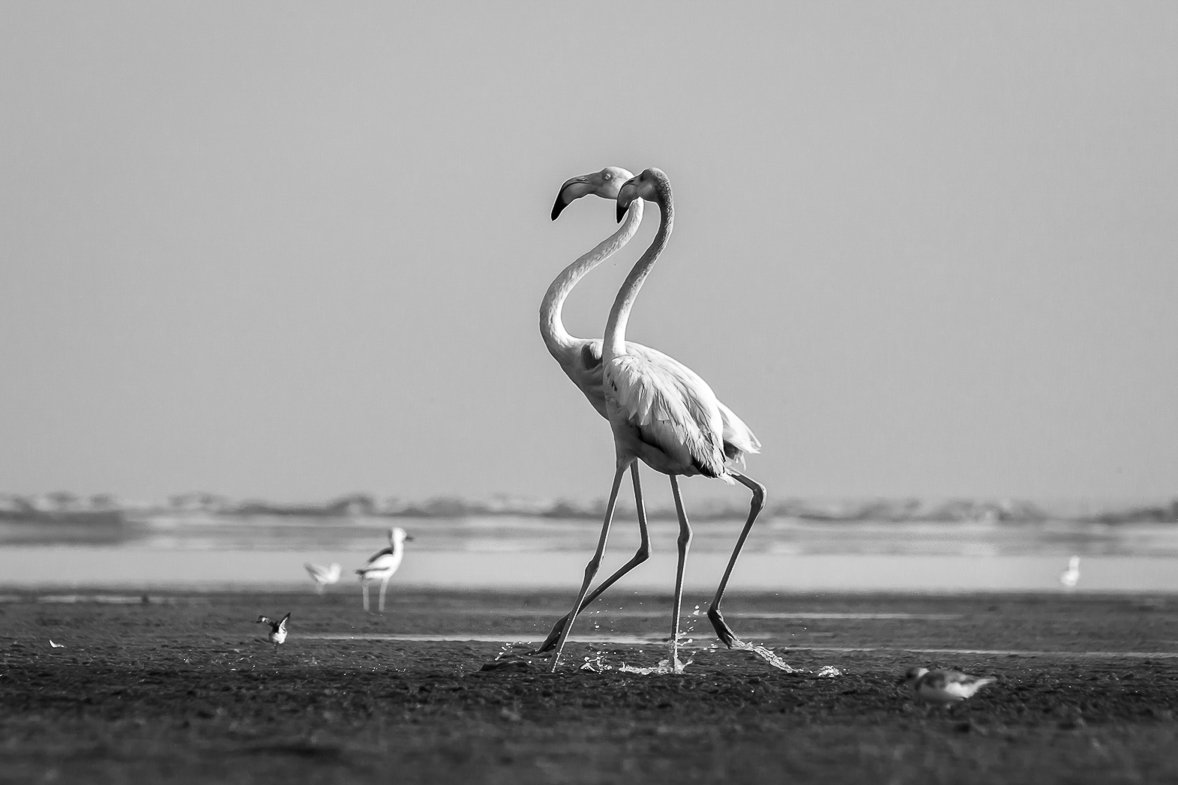 tak počkej,... můžu to vysvětlit