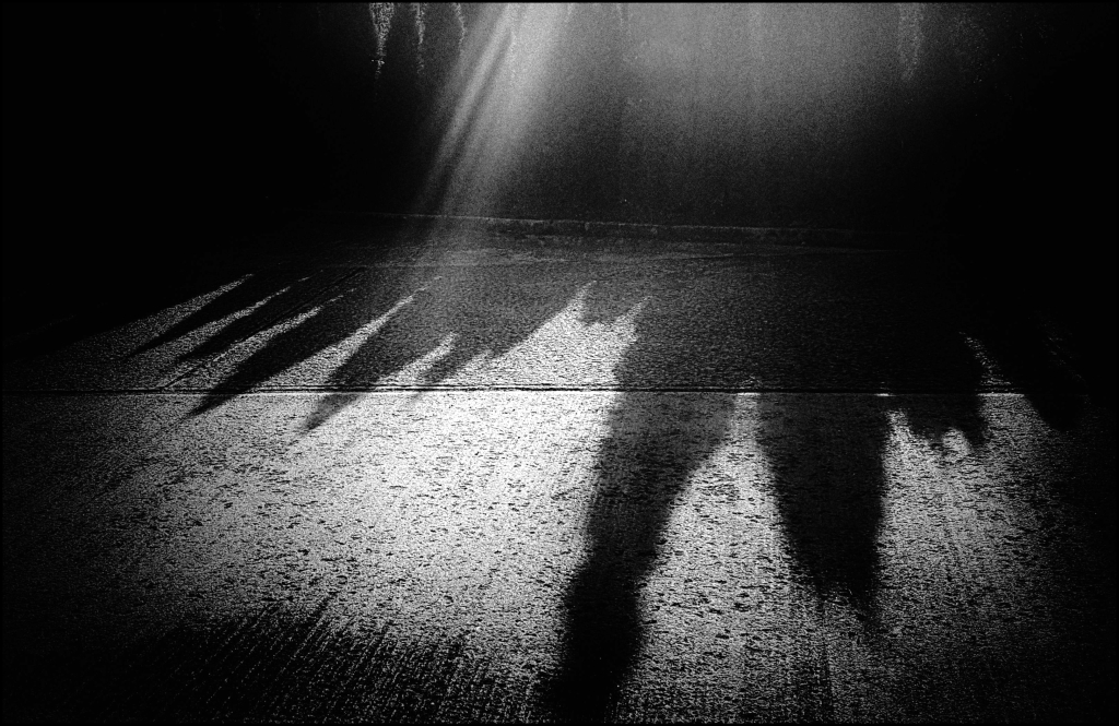 Představení může začít