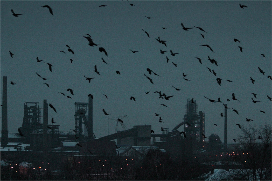 Už jsou zase tady (2)