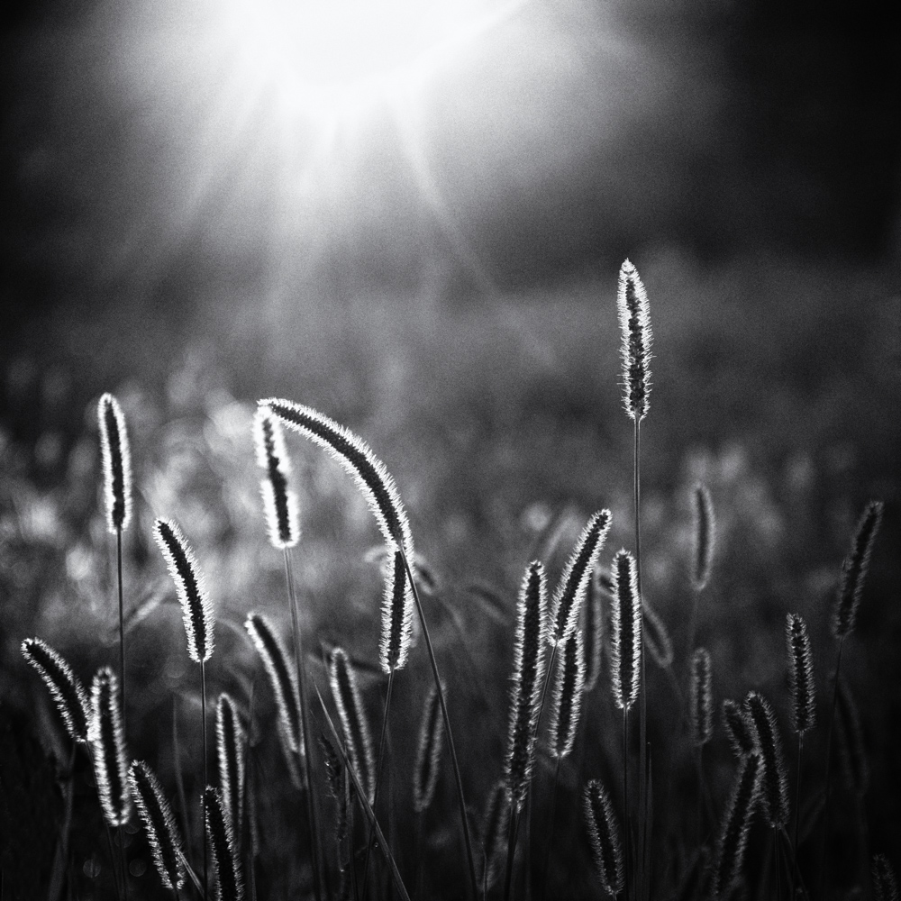 Óda na mastný objektiv - MoML 13. září 2017