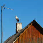 SM LOMOS, SM LOMOS, ohlaš se