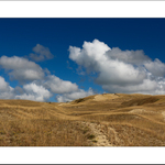 V mrtvých dunách Nidy