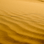 Whale in the Sun of the West