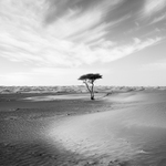 díváš se, ...dívám a jedou, ...nejedou