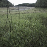 Vodní nádrž Tatrovice