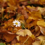 Podzim pomalu přichází...