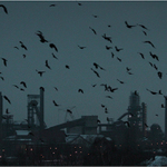 Už jsou zase tady (2)