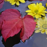 Už se to zase blíží...