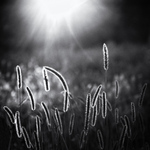 Óda na mastný objektiv - MoML 13. září 2017