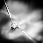 Free Hugs - MoML 19. září 2017