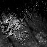 přízemní labyrint 1