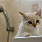 Fakt se musím mýt?