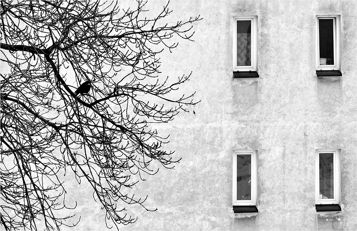 Sám v cizím městě...