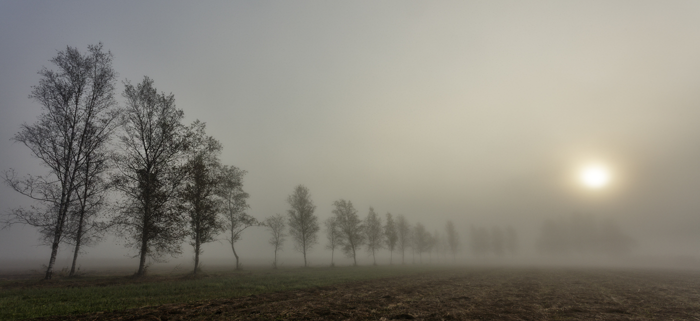 Mlhavé ráno