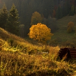 v posledných lúčoch