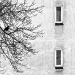 Sám v cizím městě...