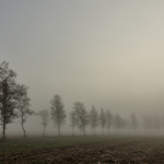 Mlhavé ráno