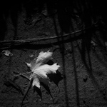 přízemní labyrint 2