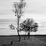 krajina u Litvínovic