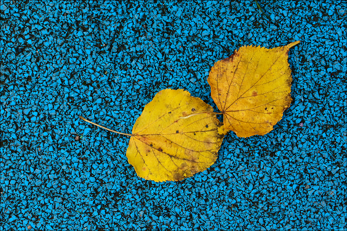 Město v barvách podzimu