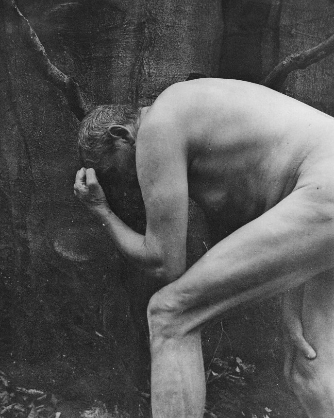 Zamyšlený Jednorožec