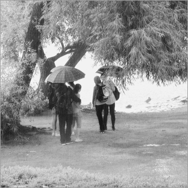 keď nenormálne prší