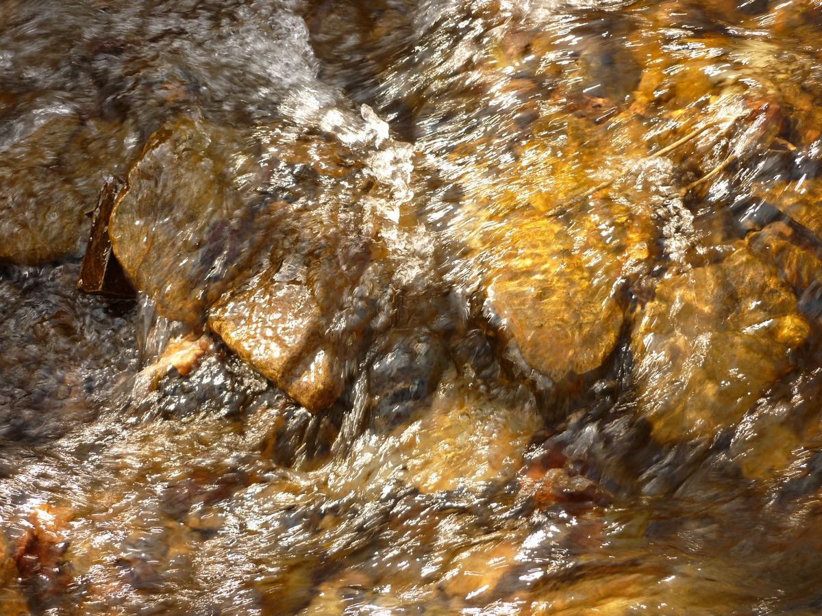 Potok