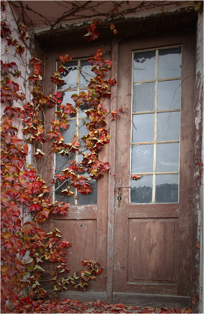 Bydlí tady Růženka?
