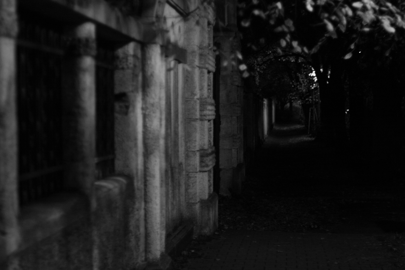 večerní uličkou podél zdi