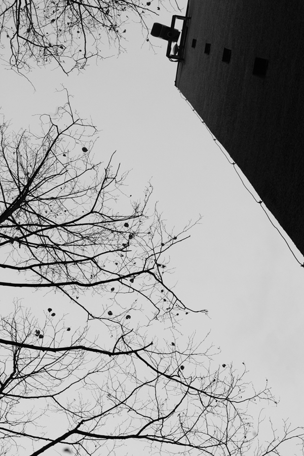 sledován z jiného světa