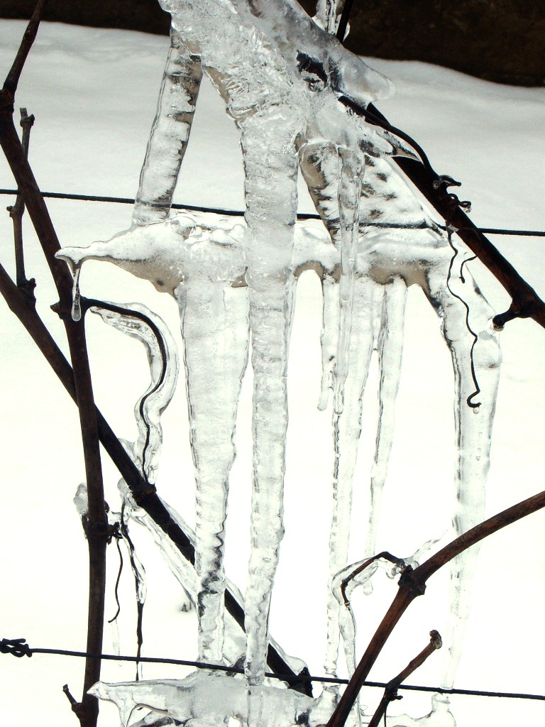 Zima 2005