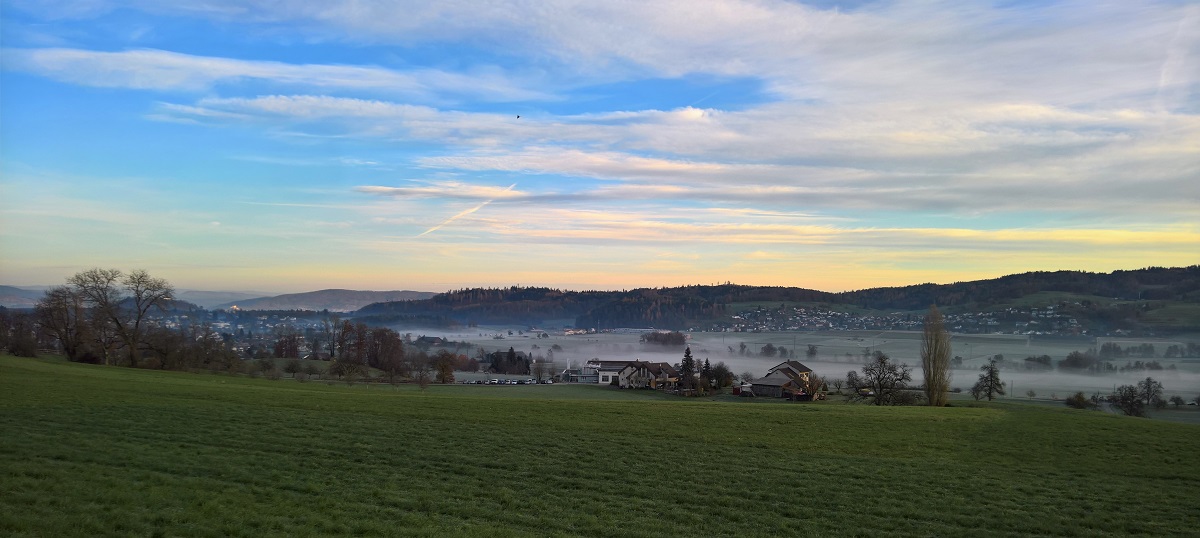 Good morning Seetal I