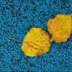 Město v barvách podzimu